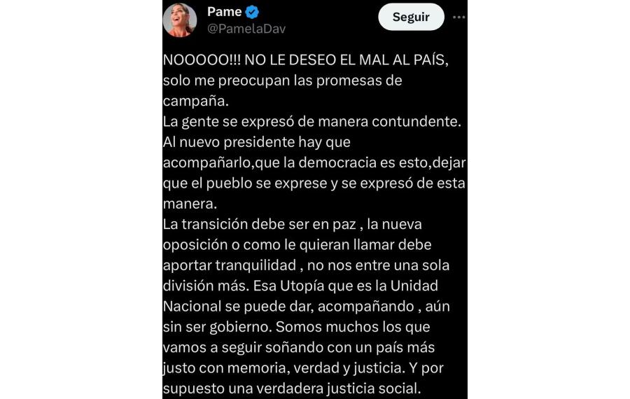 El posteo de Pamela David aclarando su anterior comentarios sobre Javier Milei.