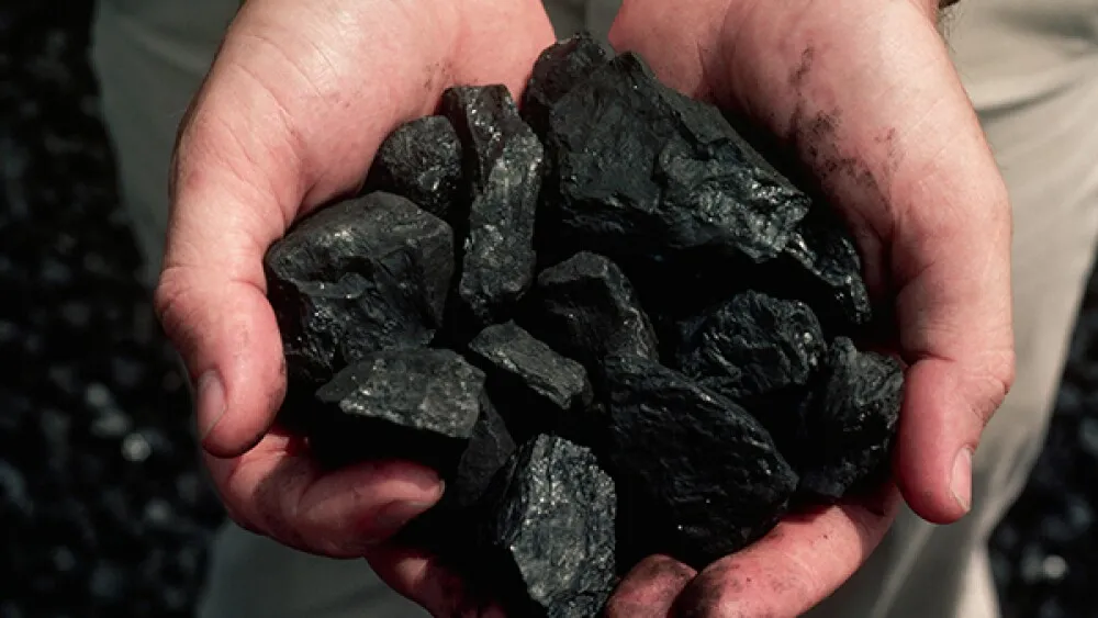 Cuáles son los beneficios de poner carbón en la heladera.