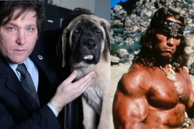 El llamativo personaje en el que se inspiró Javier Milei para llamar Conan a su perro y por qué decidió clonarlo cuando murió