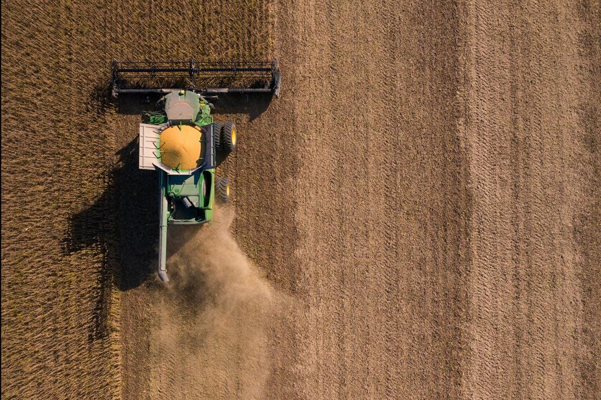 El campo, aliado crucial en la lucha contra el cambio climático