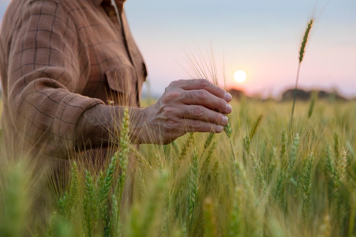 El campo, aliado crucial en la lucha contra el cambio climático