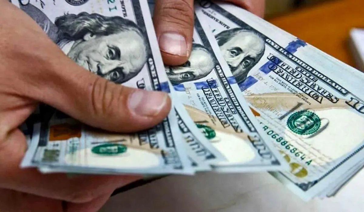 El dólar blue cortó la tendencia alcista y finalizó a $1.045