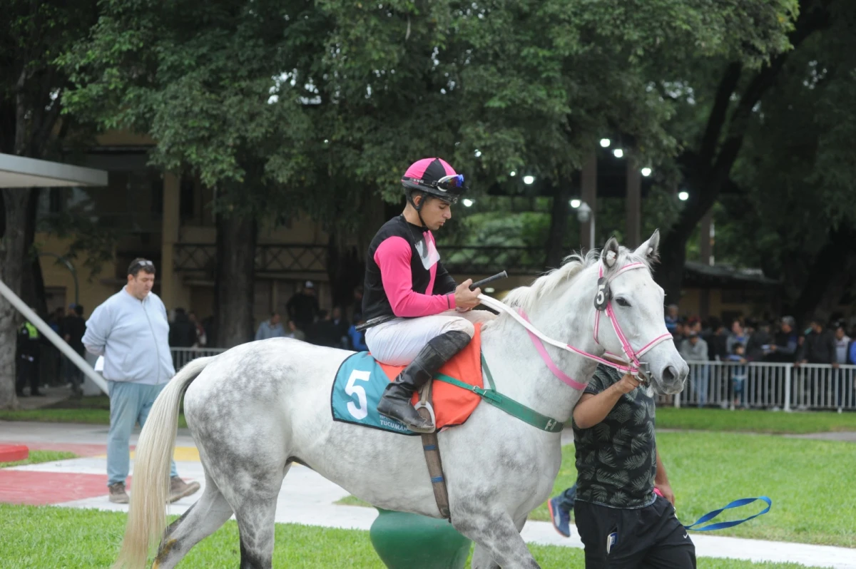 Remanente y Slew of Valid son dos cartas fuertes en el turf local