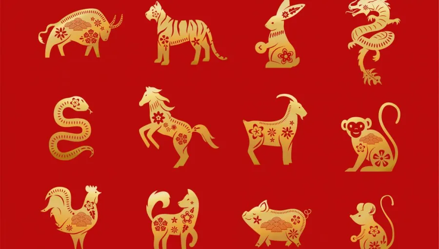 Horóscopo chino: el último cambio que vivirá cada signo antes de fin de año
