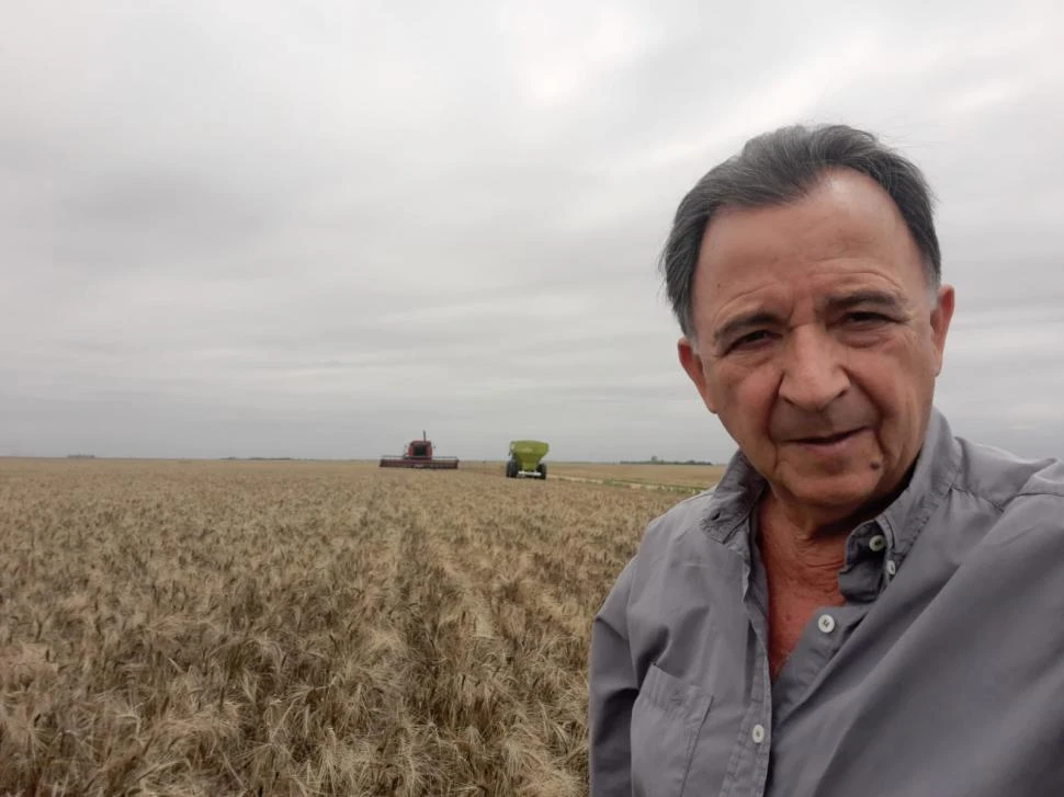 POSITIVO. Las lluvias de abril, de mayo y de junio cambiaron el escenario de sequía que había dejado la gruesa y los productores trigueros de la región se largaron a sembrar, con buenos resultados.