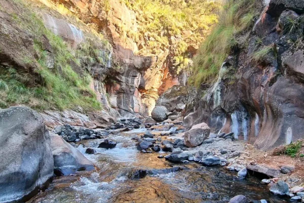 Vacaciones 2023/24: descubrí las mágicas lagunas jujeñas en medio de la selva y a pocos kilómetros de la capital