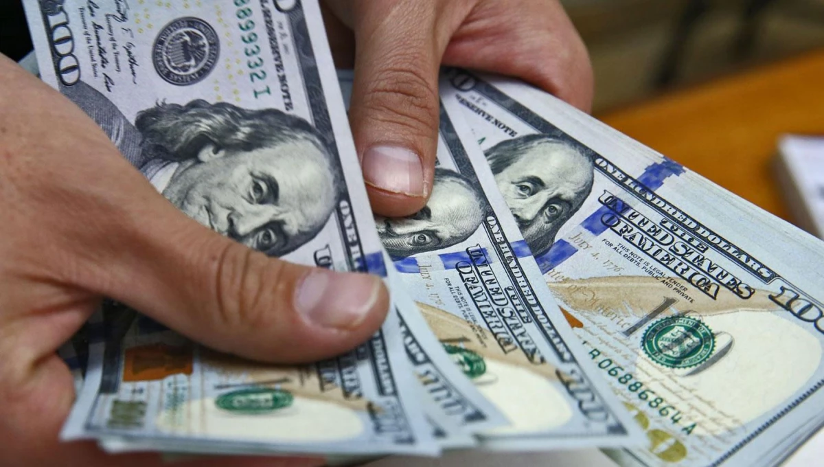 El dólar blue retrocedió 20 unidades y finalizó a $925