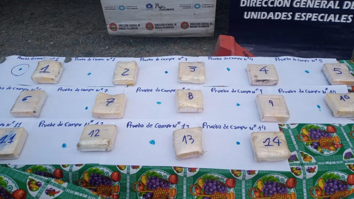 Secuestraron 15 kilos de cocaína que eran trasladados en un camión por la ruta 9