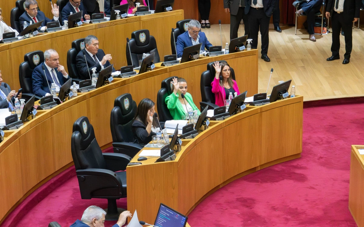 EN EL RECINTO. La legisladora Carolina Vargas Aignasse integra el bloque oficialista. 