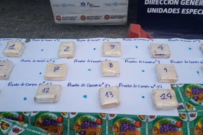 Secuestraron 15 kilos de cocaína que eran trasladados en un camión por la ruta 9