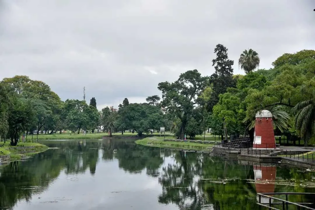 Cómo denunciar problemas con baches, basurales, semáforos y alumbrado por WhatsApp en San Miguel de Tucumán