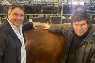 Un productor rural es el elegido por Milei para presidir el Senado	