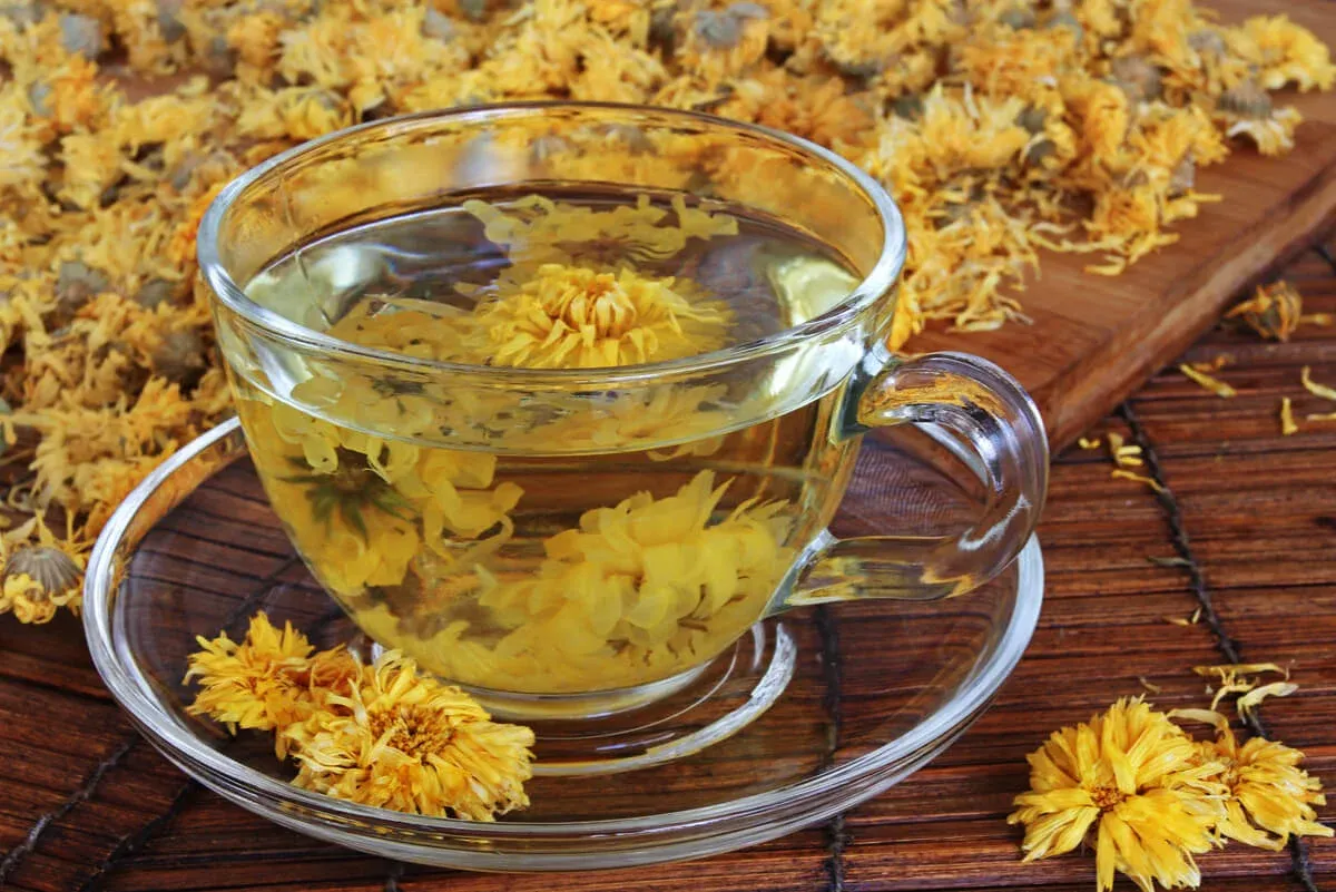 Cuáles son los beneficios de tomar té de crisantemo, según los profesionales de la salud.