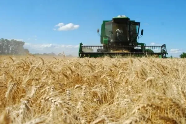 En noviembre, el patentamiento de maquinaria agrícola aumentó 1,8% interanual