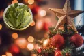 En qué consiste el ritual del laurel en el árbol de Navidad para atraer dinero y buena salud