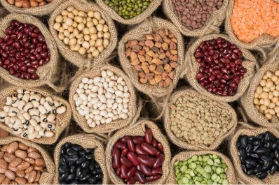 La cadena de legumbres avanza en el recambio varietal y la regularización del uso de semillas