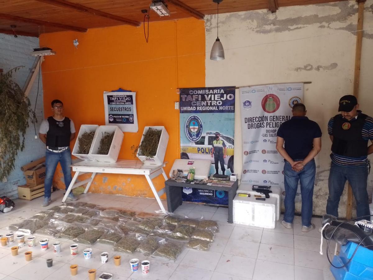 Hallan en Tafí Viejo un laboratorio de marihuana, más de 100 plantas y una fábrica de productos derivados