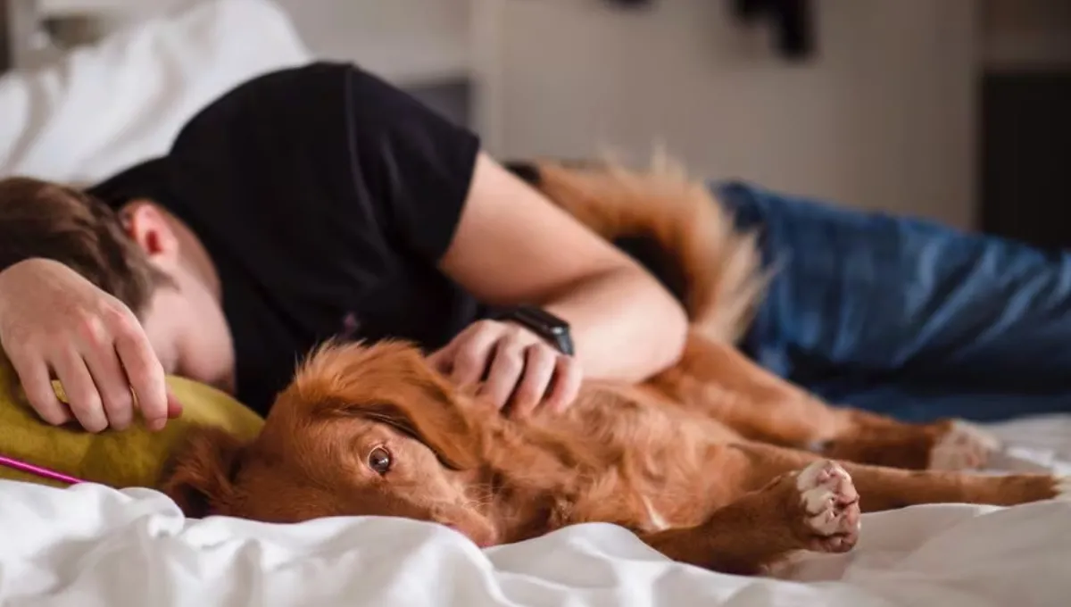 Cómo es la inemuri, la potente siesta japonesa que te dará un golpe de energía en solo unos minutos