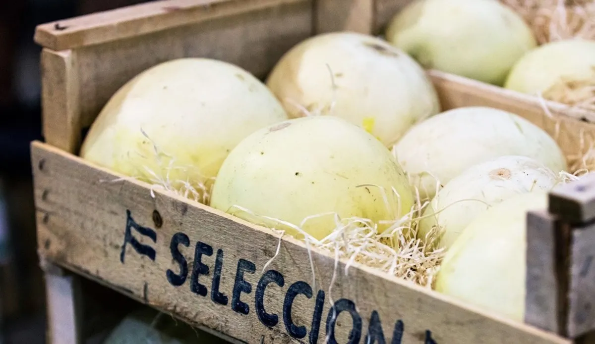 El melón, la fruta ideal para bajar de peso y cómo saber si está maduro.