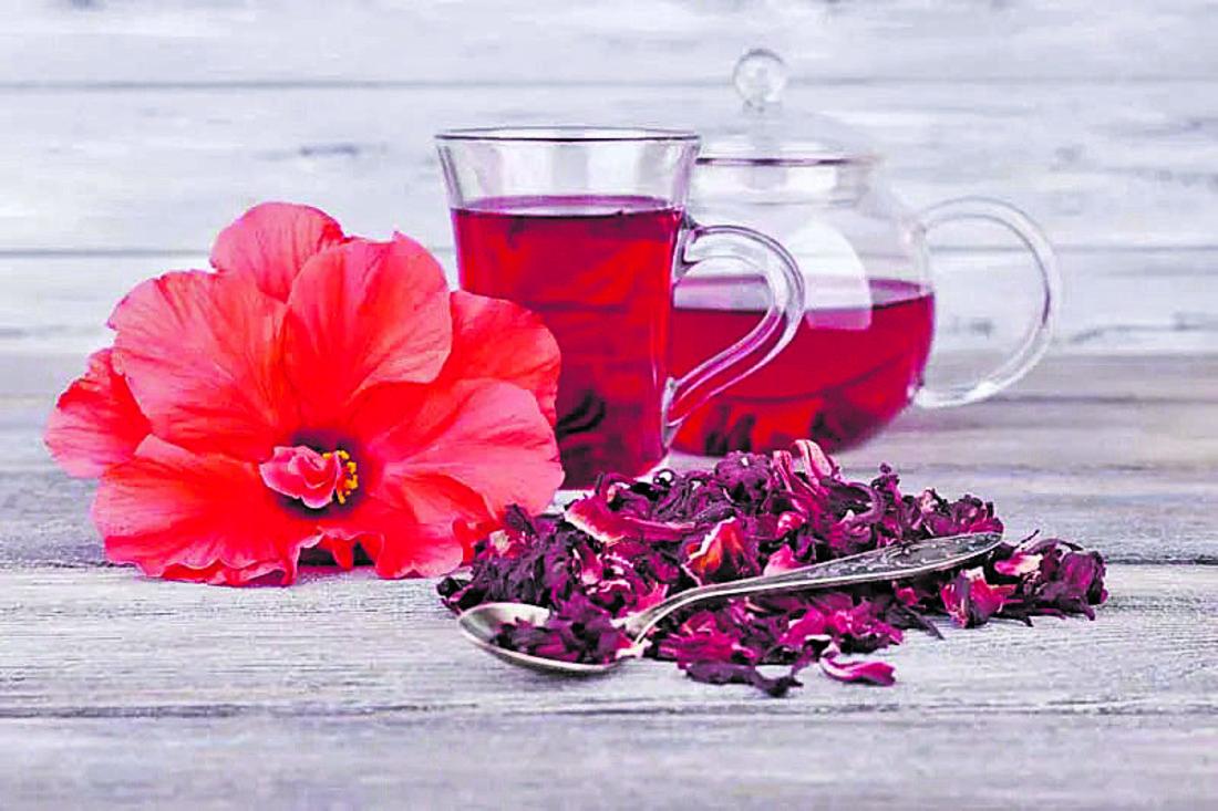 Cuáles son las mejores infusiones para broncearte mejor