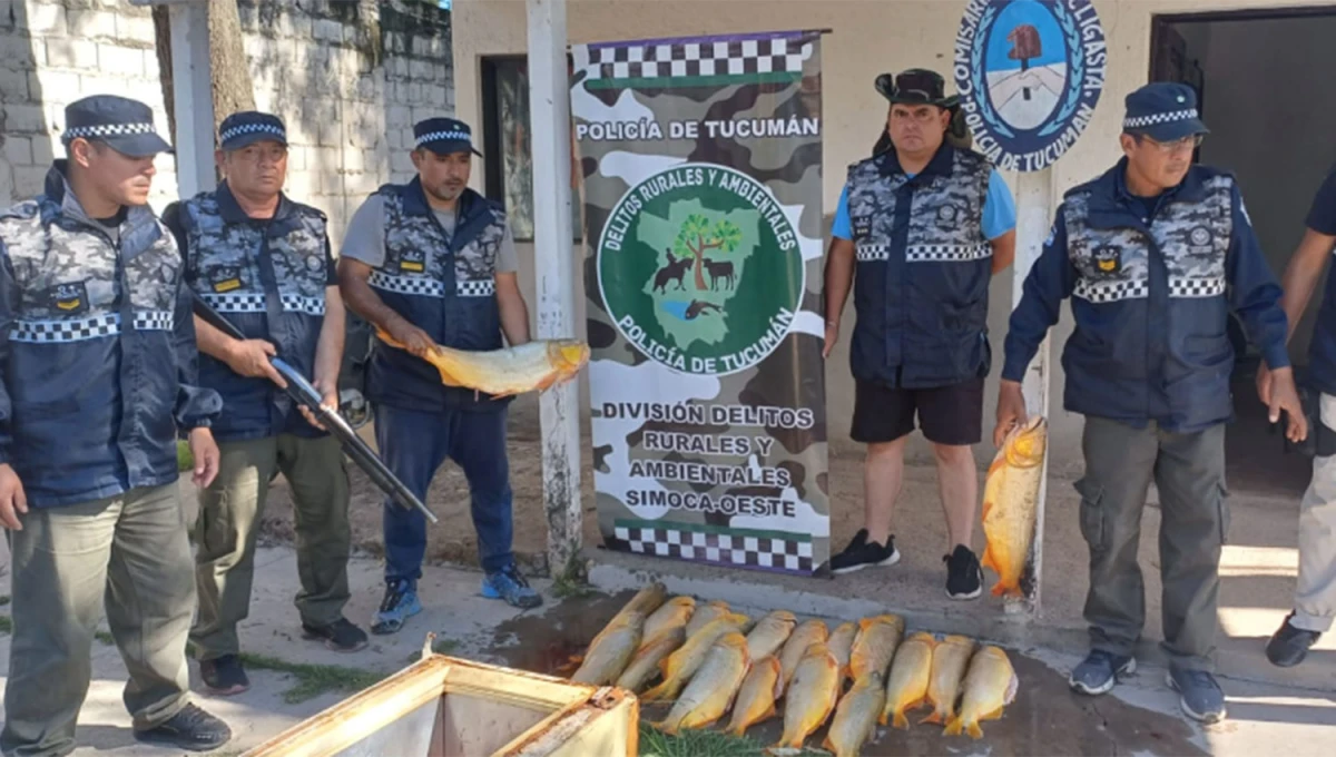 IMPORTANTE DAÑO. Un pescador fue sorprendido trasladando 26 ejemplares de dorados.,