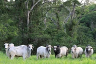 PPP en Paraguay: “Convencer al propietario de que era parte de la solución fue el mayor desafío”