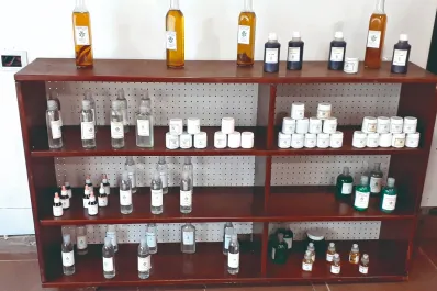 Tafí Viejo: polémica por el secuestro de productos cannábicos