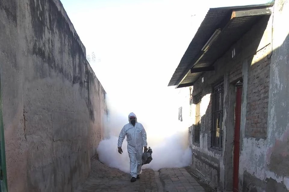 Con la temporada de lluvias, se deben extremar medidas de prevención contra dengue y chikungunya