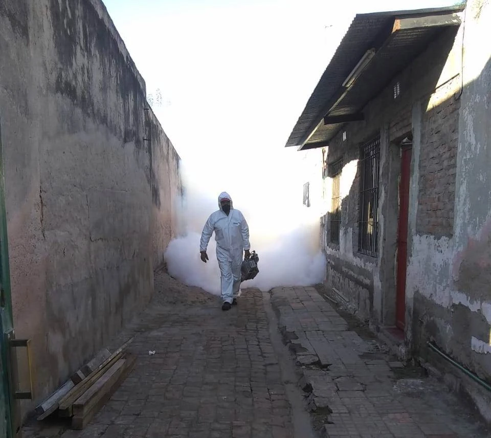 Con la temporada de lluvias, se deben extremar medidas de prevención contra dengue y chikungunya