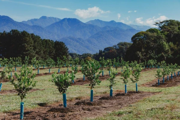 Nueve empresas tucumanas participan del programa Paisaje Productivo Protegido