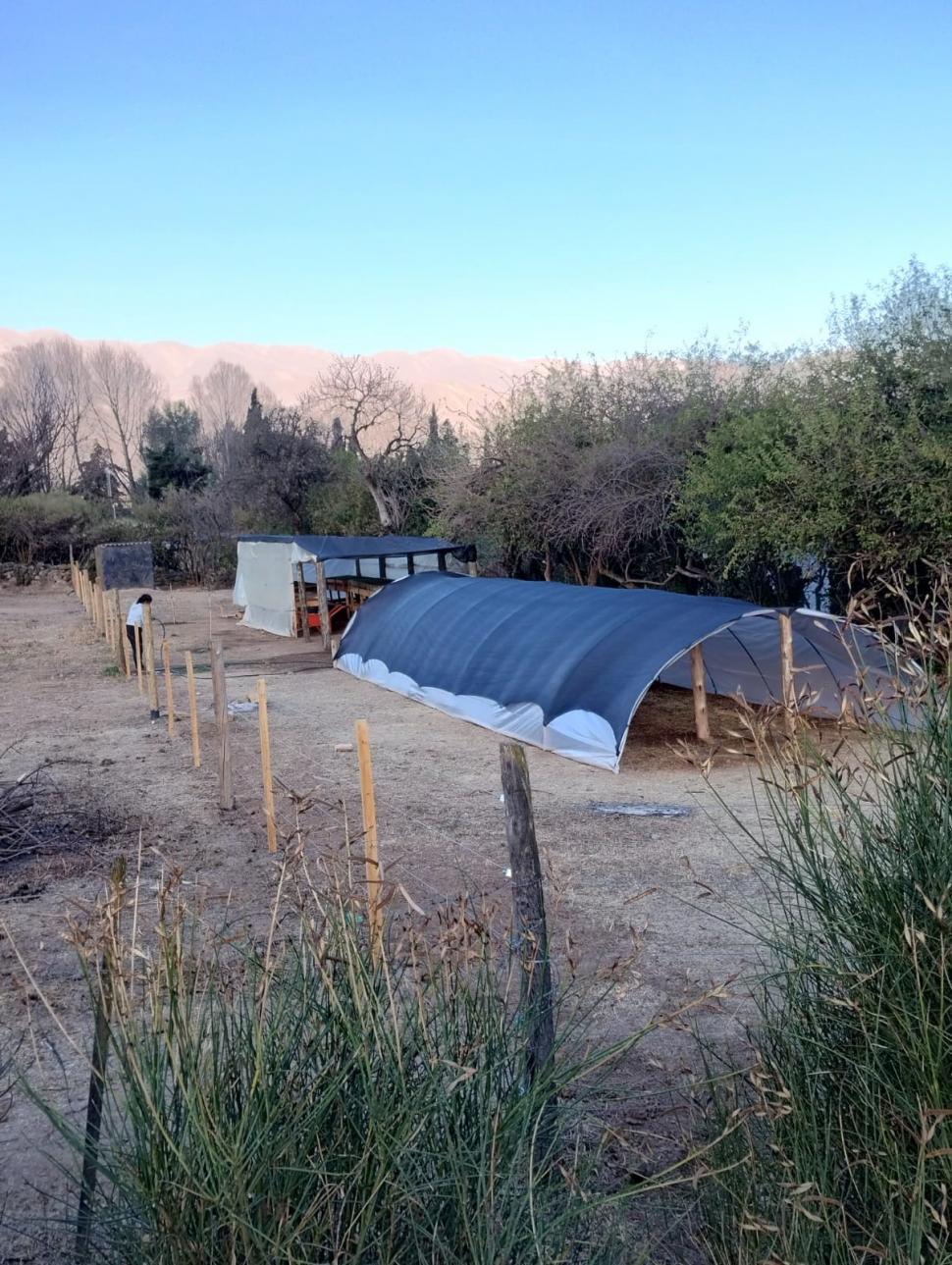 VIVERO COMUNITARIO. Funciona en Tafí del Valle.