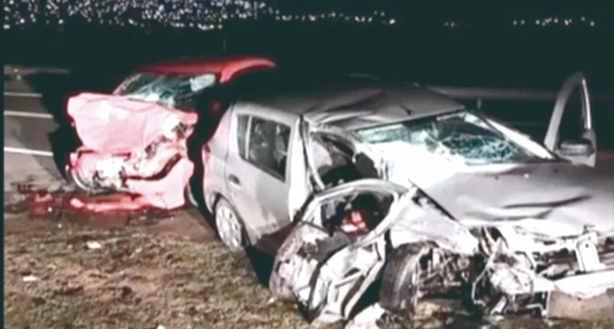 Preocupación por los animales sueltos en la ruta