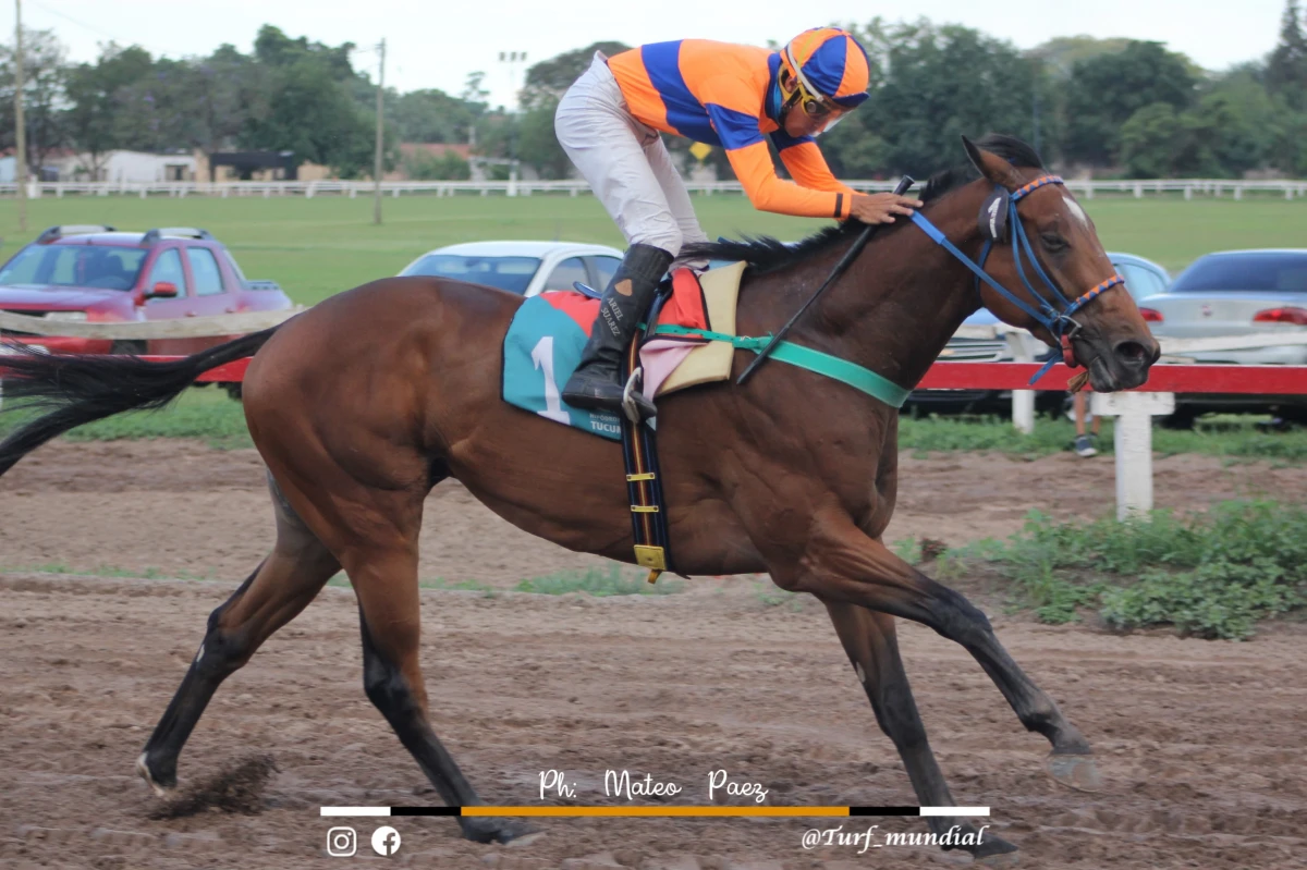 Turf: Señor Encantado tiene una prueba de fuego el domingo