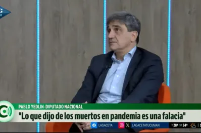 Yedlin habló de un carancheo con los números de la pandemia por parte de Milei