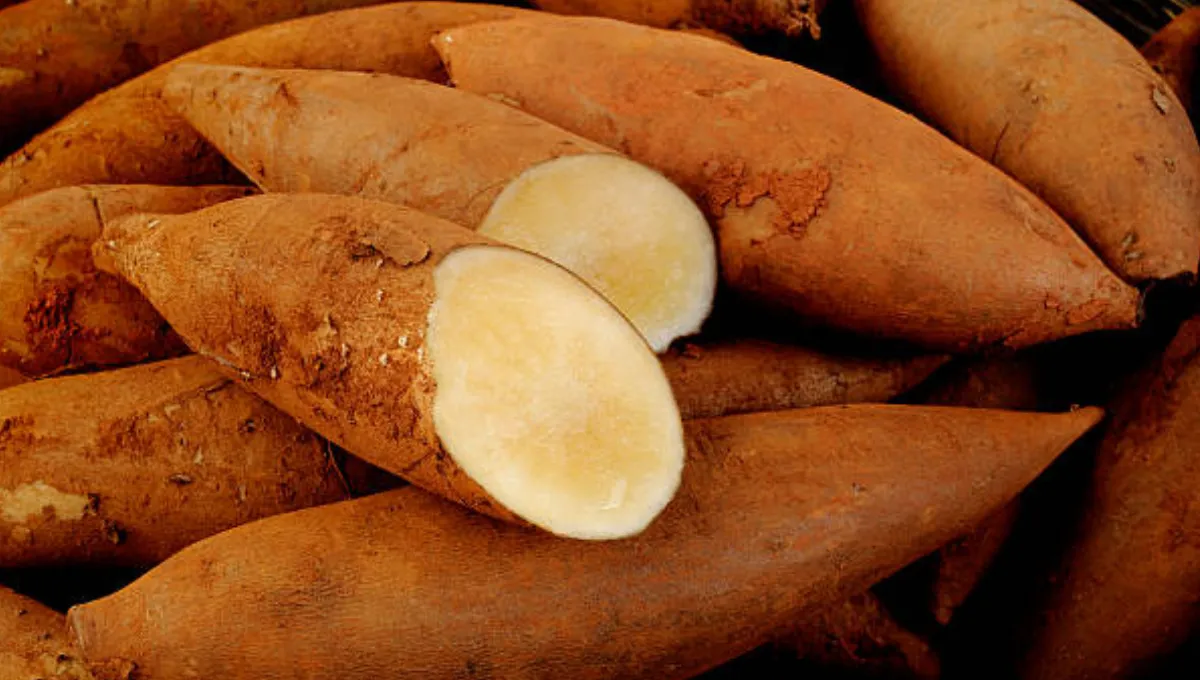 El superalimento que retrasa el envejecimiento, mejora la digestión y ayuda a adelgazar