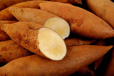 Este superalimento retrasa el envejecimiento, mejora la digestión y ayuda a adelgazar