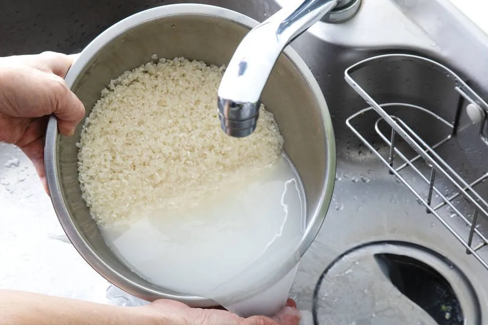 Por qué es importante lavar el arroz antes de cocinarlo, según los especialistas.