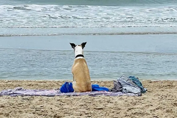 Vacaciones 2023/24: cuáles son las playas argentinas ideales para disfrutar en familia