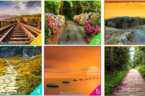 Test de personalidad: el sendero que elijas revelará cuáles son los propósitos en tu vida