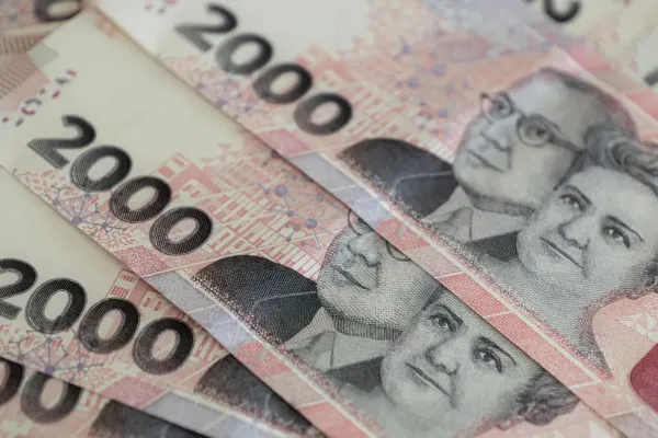 Calculadora de plazo fijo: fijate cuánto vas cobrar luego de la modificación de las tasas de interés