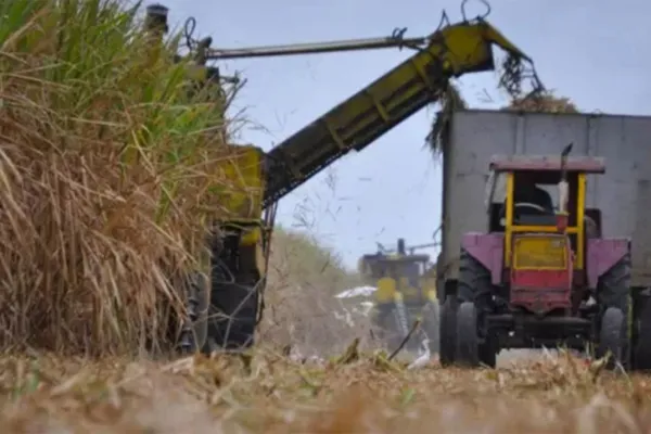 Azúcar y bioetanol: debaten en el Congreso sobre los riesgos de la desregulación del mercado