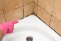 Cómo sacar el moho y la humedad del baño: estas plantas terminarán con las odiosas manchas