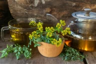 “El té de ruda puede generar patologías graves en los menores”, advirtió la directora del hospital de Niños