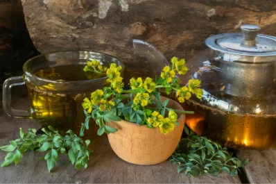 “El té de ruda puede generar patologías graves en los menores”, advirtió la directora del hospital de Niños