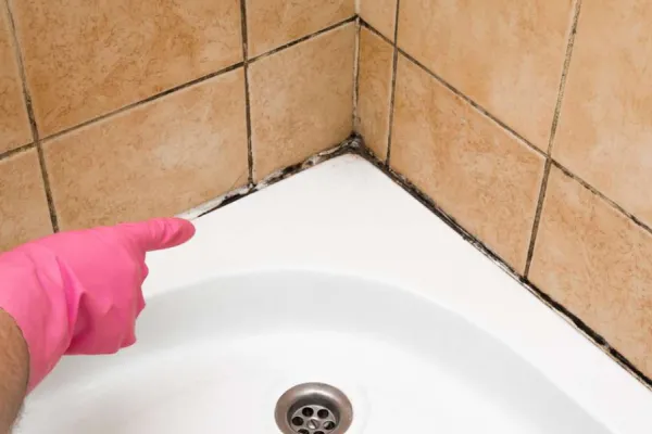 Cómo sacar el moho y la humedad del baño: estas plantas terminarán con las odiosas manchas