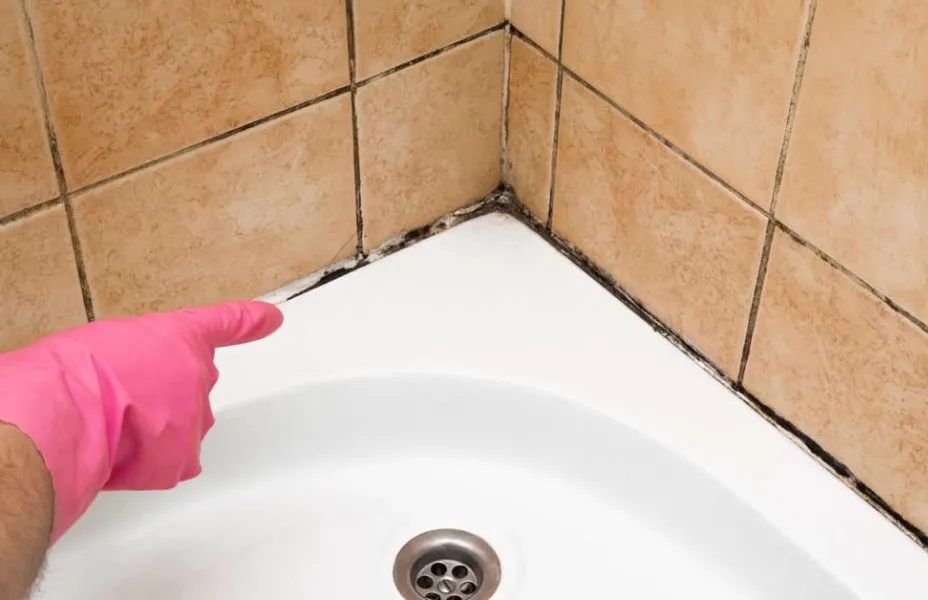 PREDILECTO. En el baño el moho suele formarse más que en otros espacios de la casa.