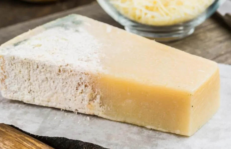 Moho en la comida: ¿en qué casos se puede comer la parte no afectada sin riesgos?