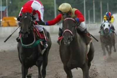 Turf: se viene una gran definición en la estadísticas de jockeys del hipódromo local