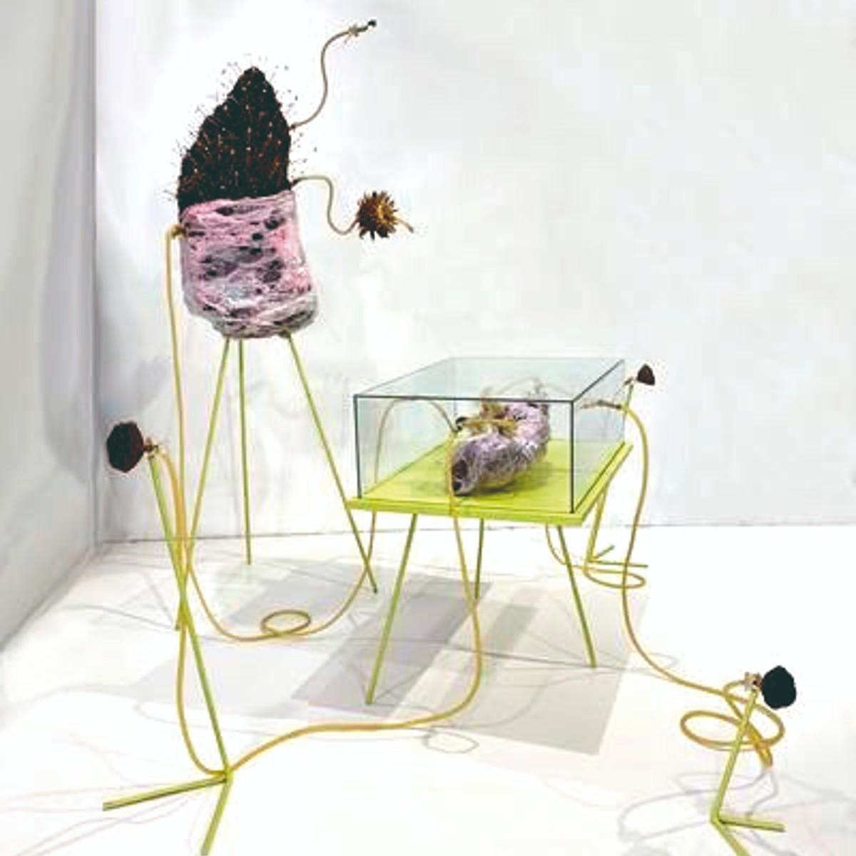 VALENTÍN ASPRELLA LOZANO. “Artefacto n°2”, Premio Región III.