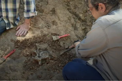 Paleontólogos de la UNT participan del hallazgo de un mamífero extinto